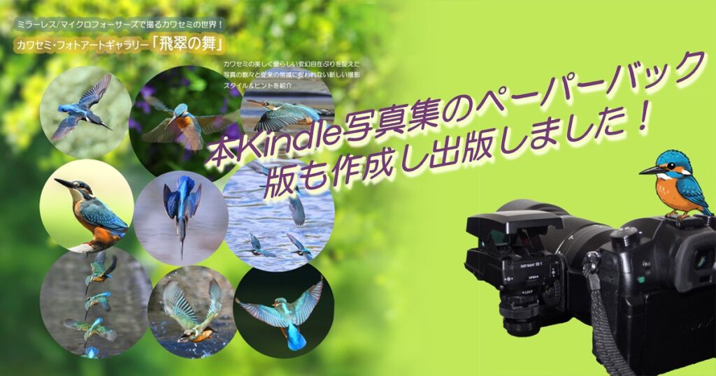 ペーパーバック版出版