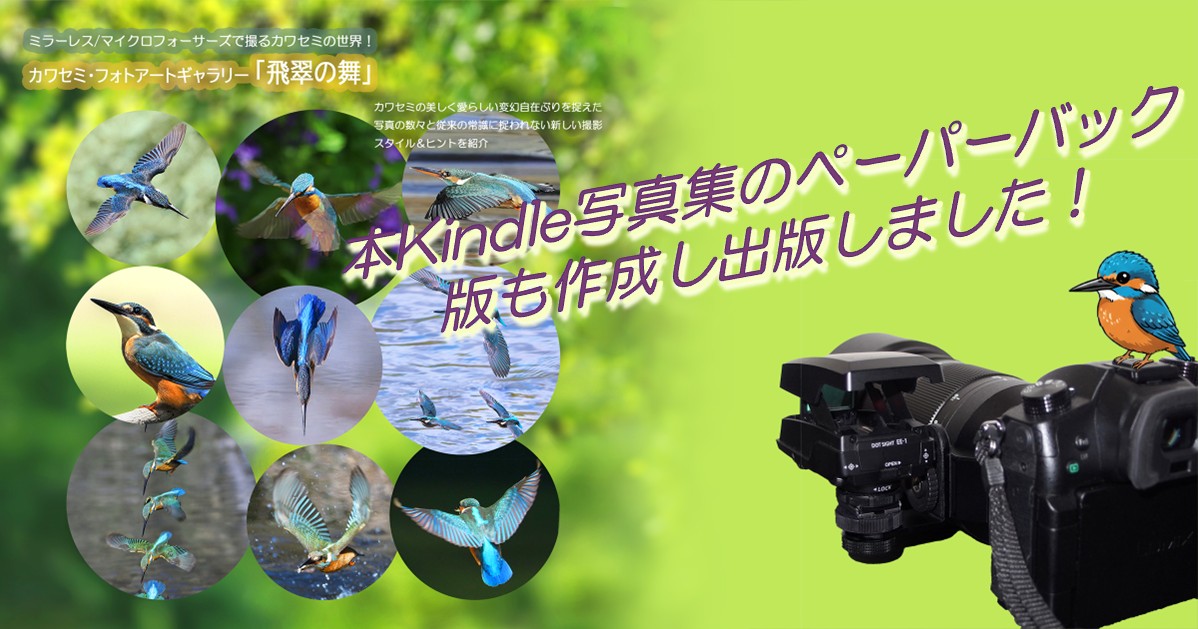 ペーパーバック版出版